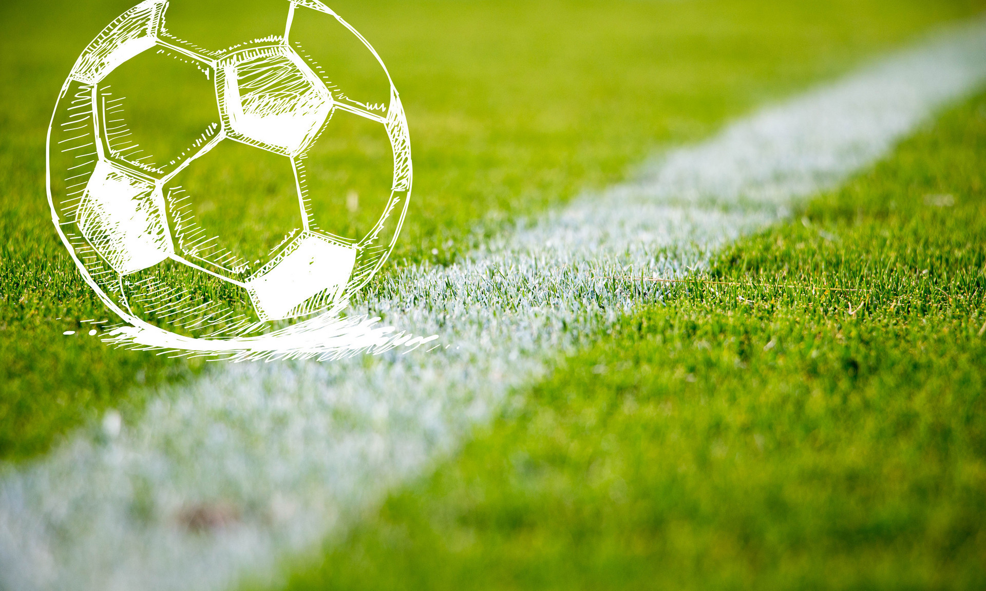 供了一份宝 供了一份宝