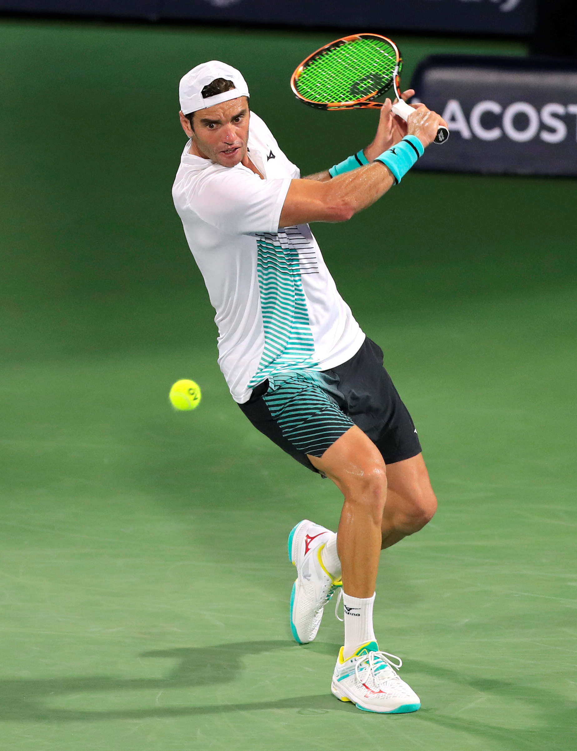 韧不拔精神 韧不拔精神