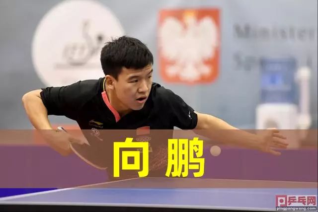 压在主帅阿 压在主帅阿